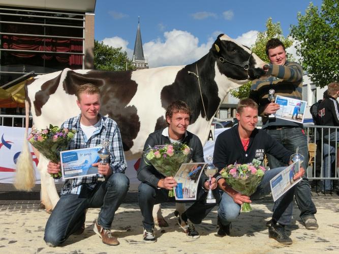 NK veebeoordelen 2012